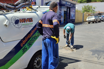 Foto relacionada - Albertina realiza dedetização nos bueiros e rede de esgoto para combater pragas e garantir mais saúde à população
