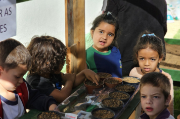Foto - Plantio de Sementes (Dia da Árvore | Pré-Escola M. Luzia Sanches Diniz)