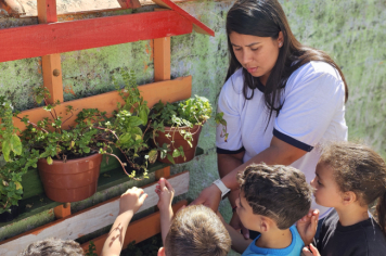 Foto - Jardim Sensorial da Pré-Escola Municipal Luzia Sanches Diniz