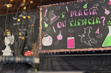 Foto - Feira José Gomes