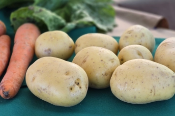 Foto - Feira José Gomes