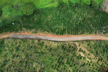 Foto - Estrada do Após o Temporal