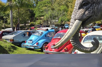Foto - 2º Encontro de Carros Antigos