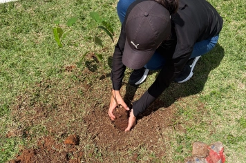 Foto - início do Projeto de Arborização Urbana