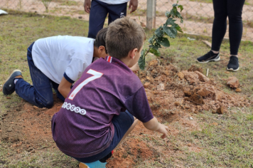 Foto - Plantio de Árvores  (Dia da Árvore | Escola Antonio Ferreira)