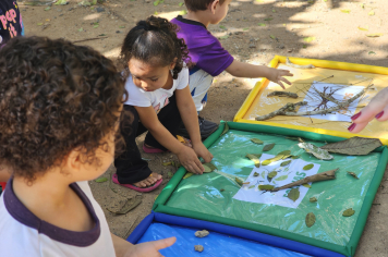 Foto - Novos Materiais Pedagógicos Transformam a Educação em Albertina