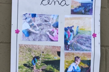 Foto - Horta dos Alunos da Escola Antonio Ferreira 