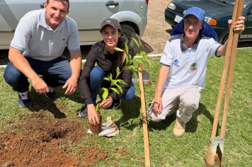 Foto - início do Projeto de Arborização Urbana