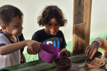 Foto - Plantio de Sementes (Dia da Árvore | Pré-Escola M. Luzia Sanches Diniz)