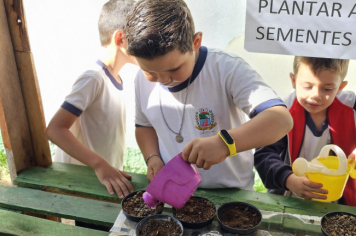Foto - Plantio de Sementes (Dia da Árvore | Pré-Escola M. Luzia Sanches Diniz)