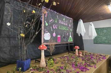 Foto - Feira José Gomes