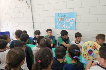 Foto - Feira do Corpo Humano