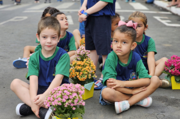 Foto - Desfile Cívico de 7 de Setembro