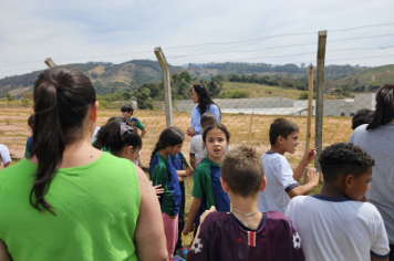 Foto - Plantio de Árvores  (Dia da Árvore | Escola Antonio Ferreira)