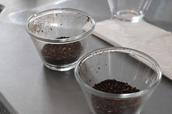 Foto - Encerramento do Curso de Classificação e Degustação de Cafés