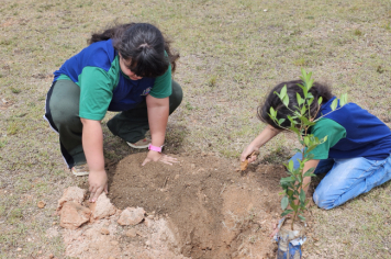 Foto - Plantio de Árvores  (Dia da Árvore | Escola Antonio Ferreira)