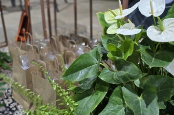 Foto - Formatura 9ª Ano | Escola Municipal Antonio Ferreira