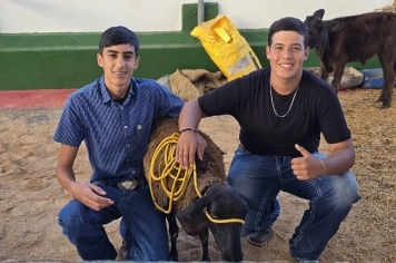 Foto - Feira José Gomes