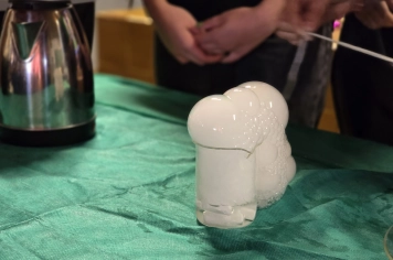 Foto - Feira José Gomes