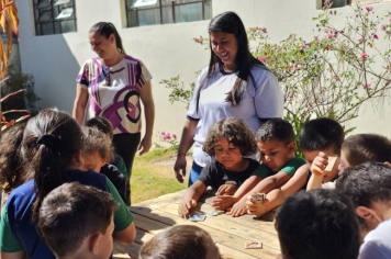 Foto - Jardim Sensorial da Pré-Escola Municipal Luzia Sanches Diniz