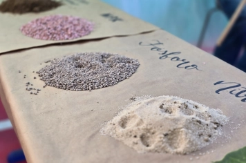 Foto - Feira José Gomes