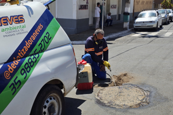 Foto relacionada - Albertina realiza dedetização nos bueiros e rede de esgoto para combater pragas e garantir mais saúde à população
