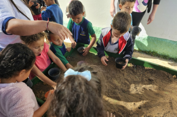 Foto - Plantio de Sementes (Dia da Árvore | Pré-Escola M. Luzia Sanches Diniz)