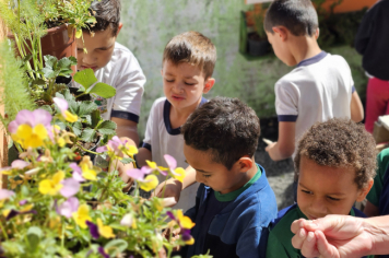 Foto - Jardim Sensorial da Pré-Escola Municipal Luzia Sanches Diniz