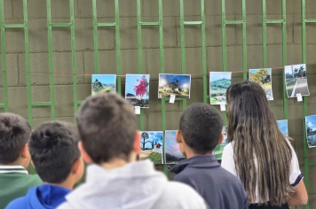 Foto relacionada - Concurso “Como Vejo Minha Cidade” valoriza o olhar dos alunos sobre Albertina