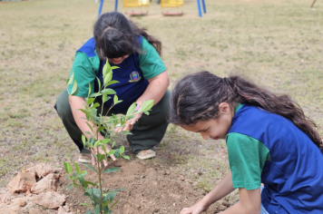 Foto - Plantio de Árvores  (Dia da Árvore | Escola Antonio Ferreira)