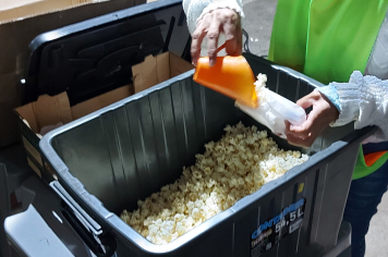 Foto - Uma Noite de Conscientização e Cuidado Marca o Outubro Rosa em Albertina