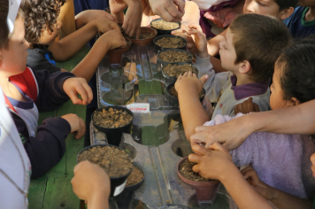 Foto - Plantio de Sementes (Dia da Árvore | Pré-Escola M. Luzia Sanches Diniz)