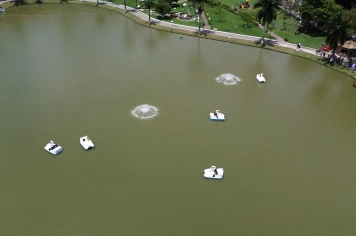 Foto relacionada - Pedalinhos no Parque do Lago: lazer, turismo e natureza em perfeita harmonia