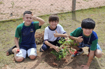 Foto - Plantio de Árvores  (Dia da Árvore | Escola Antonio Ferreira)