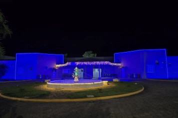 Foto - Decoração de Natal Albertina de Luz 2025