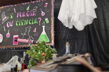 Foto - Feira José Gomes