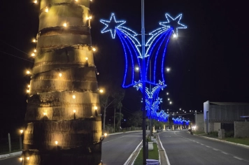 Albertina iluminada: decoração de Natal transforma a cidade e prepara noites especiais de dezembro