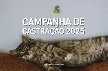 CAMPANHA DE CASTRAÇÃO GRATUITA PARA PEQUENOS ANIMAIS EM ALBERTINA