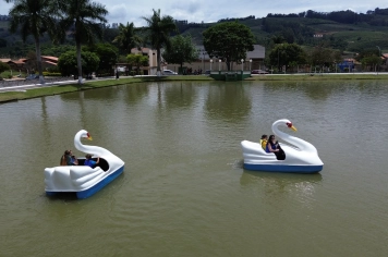 Pedalinhos no Parque do Lago: lazer, turismo e natureza em perfeita harmonia