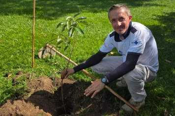 Parque do Lago recebe plantio de 10 mudas de oiti e reforça arborização urbana em Albertina
