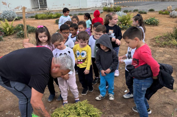 Dia Mundial do Meio Ambiente é celebrado com atividades lúdicas e plantio na Pré-Escola Luzia Sanches Diniz