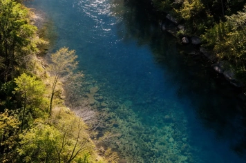 Dia Mundial da Água reforça que preservar é garantir vida e futuro para todos