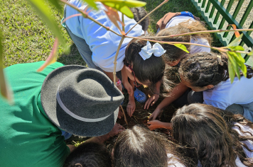 Prefeitura de Albertina Planta Árvores para o Futuro
