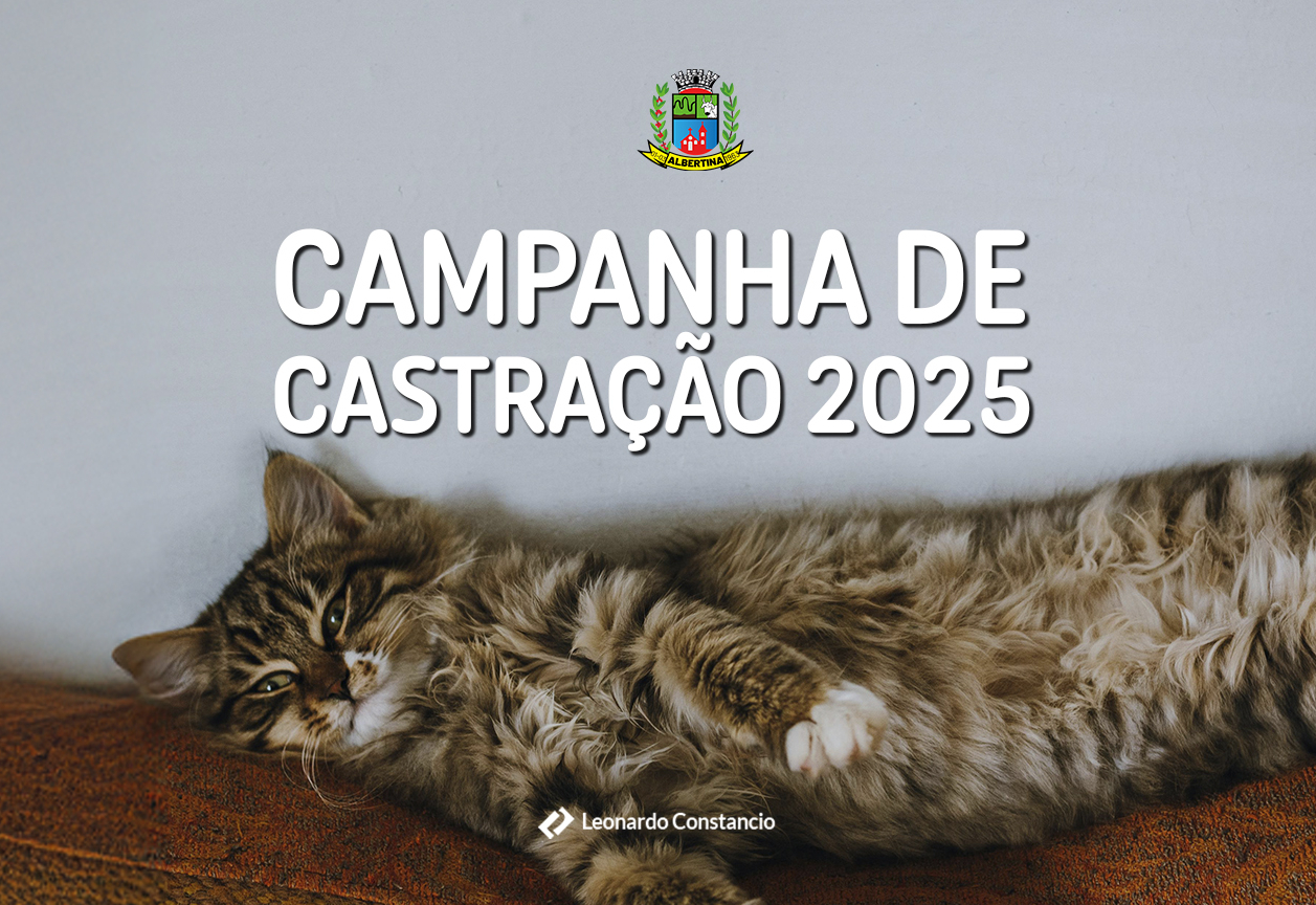 CAMPANHA DE CASTRAÇÃO GRATUITA PARA PEQUENOS ANIMAIS EM ALBERTINA