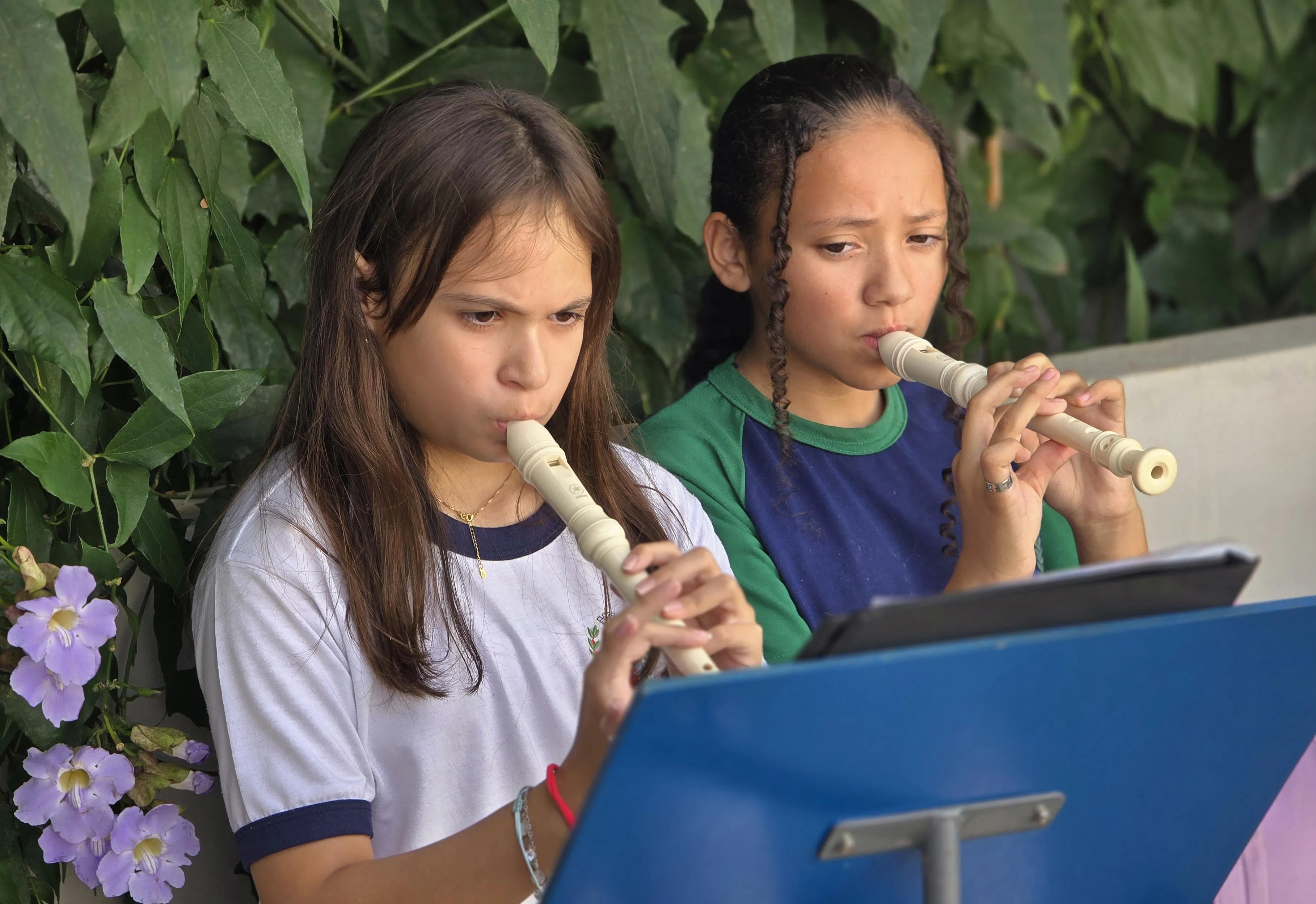 A música começa a ganhar ainda mais espaço no coração cultural de Albertina