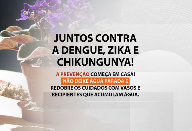 Juntos Contra o Aedes Aegypti 