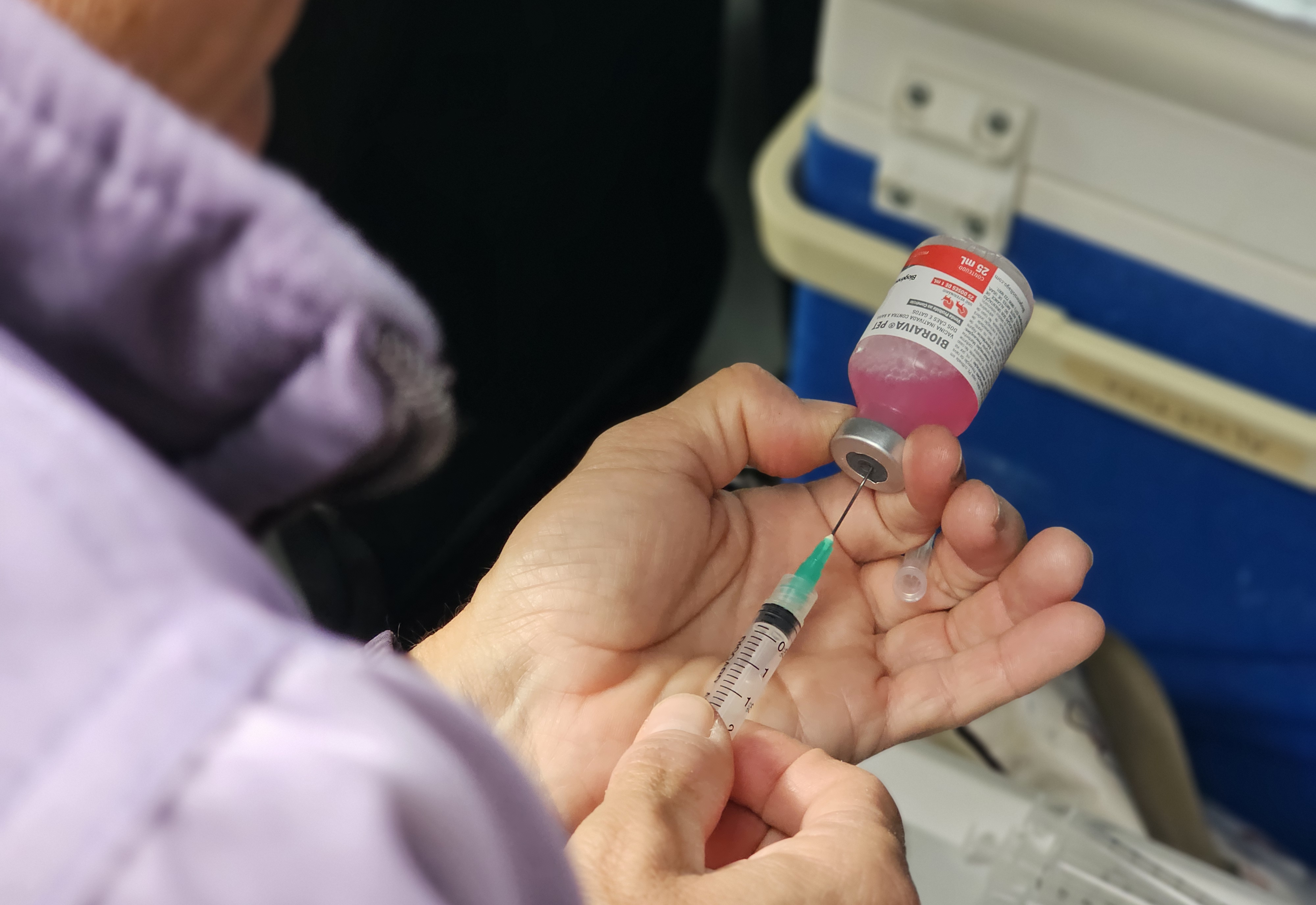 Vacinação Antirrábica continua em Albertina