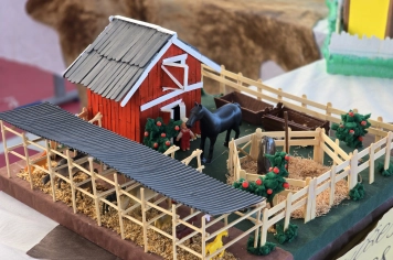 Foto - Feira José Gomes