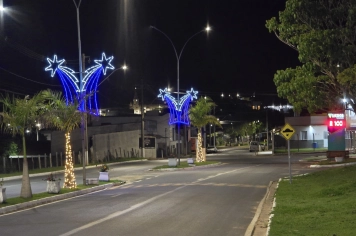 Foto - Decoração de Natal Albertina de Luz 2025
