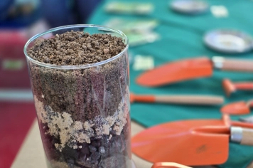 Foto - Feira José Gomes